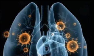 Life reborn project - Qqua Health
