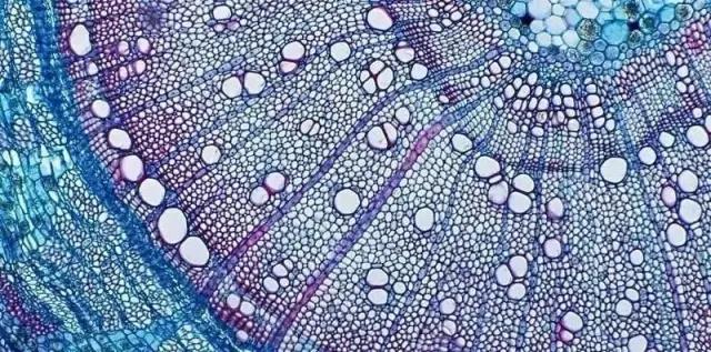΢ͼƬ_20201124172713.jpg